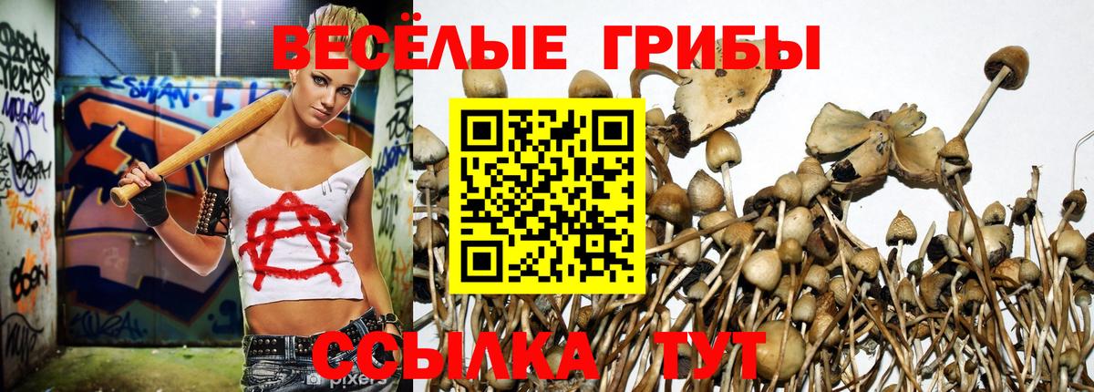 Псилоцибиновые грибы прущие грибы  Галлюциногенные грибы Psilocybine cubensis  Вход с VPN  Сланцы 