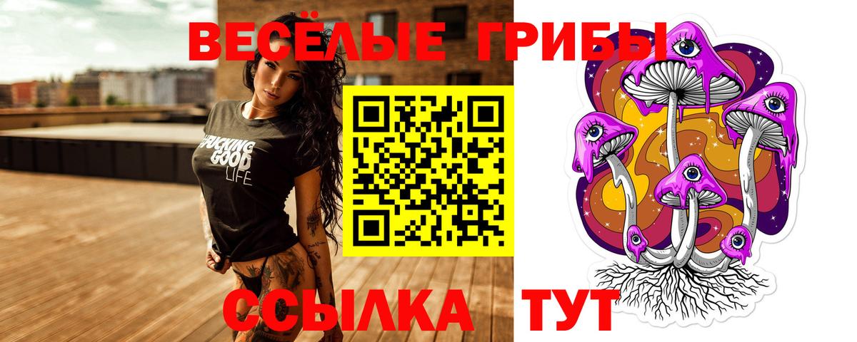 Псилоцибиновые грибы GOLDEN TEACHER Сланцы